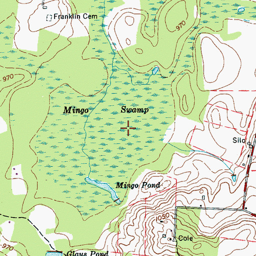 Topographic Map of Mingo Swamp, TN