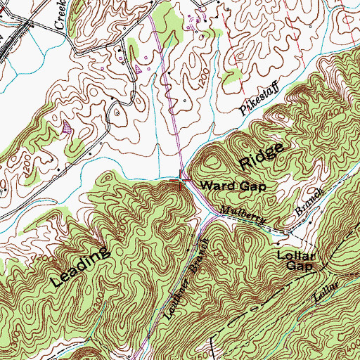 Topographic Map of Mulberry Branch, TN