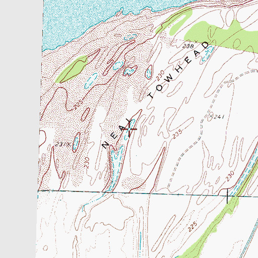 Topographic Map of Neal Towhead, TN