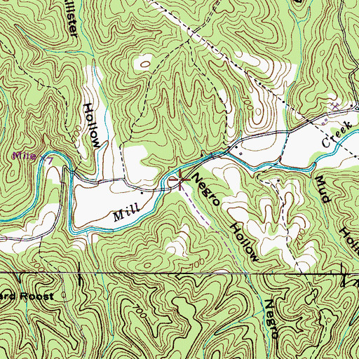 Topographic Map of Negro Hollow, TN