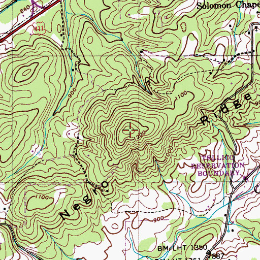 Topographic Map of Negro Ridge, TN