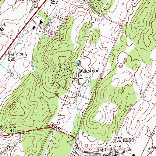 Topographic Map of Oakwood, TN