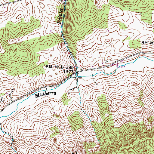 Topographic Map of Painter Branch, TN
