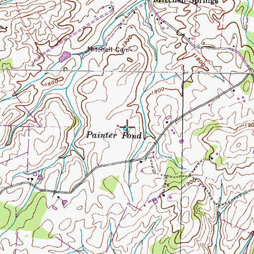 Topographic Map of Painter Pond, TN