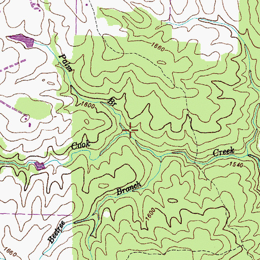 Topographic Map of Palm Branch, TN
