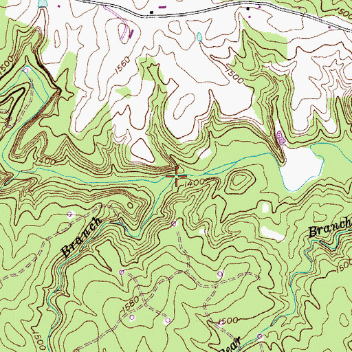 Topographic Map of Patten Branch, TN