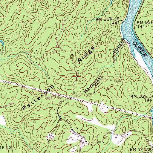Topographic Map of Patterson Ridge, TN
