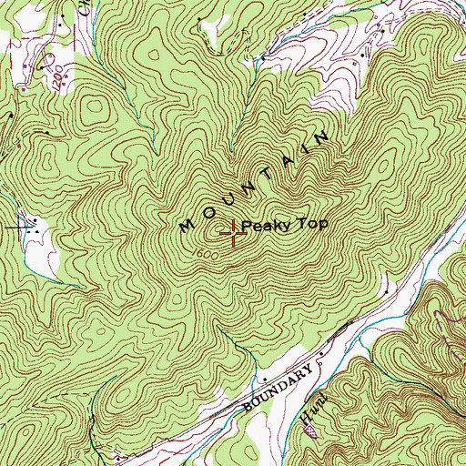 Topographic Map of Peaky Top, TN