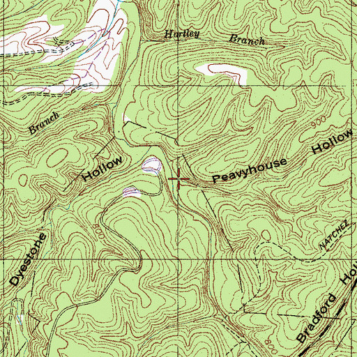 Topographic Map of Peavyhouse Hollow, TN