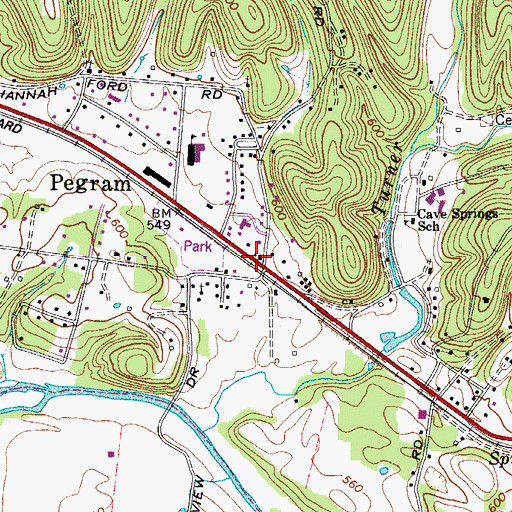 Topographic Map of Pegram, TN