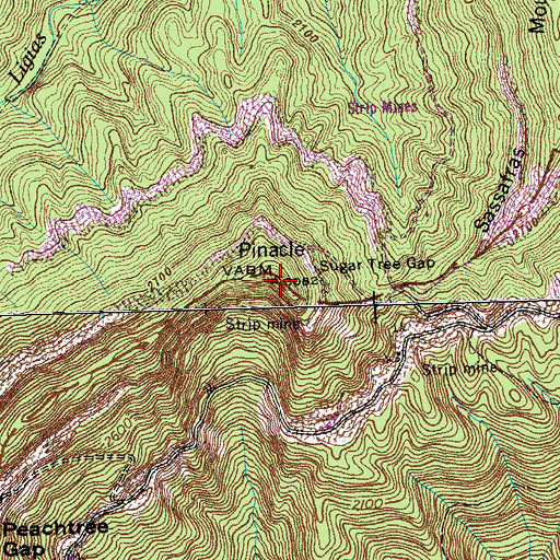 Topographic Map of Pinacle, TN