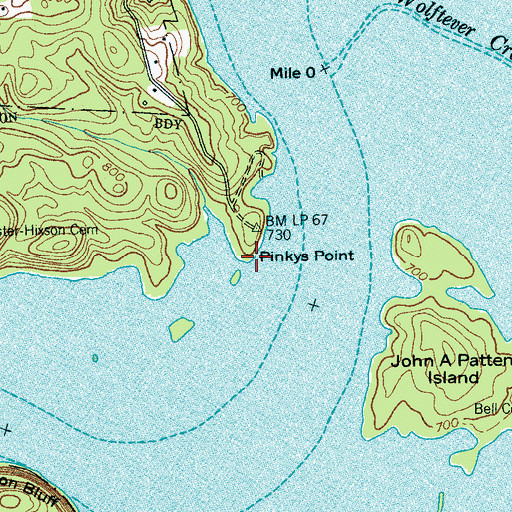 Topographic Map of Pinkys Point, TN