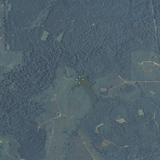 Aerial/Satellite Image of Broughton Dam, AL