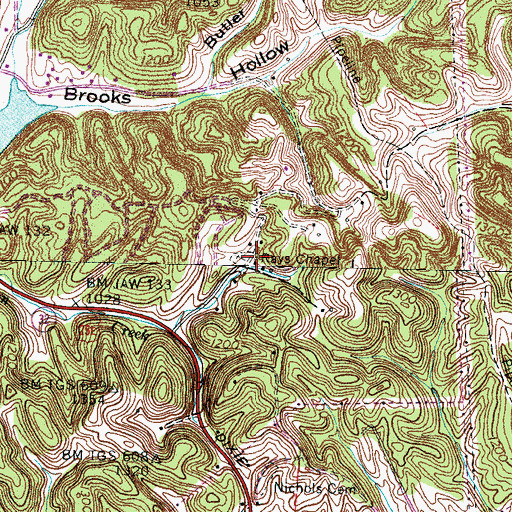 Topographic Map of Rays Chapel, TN