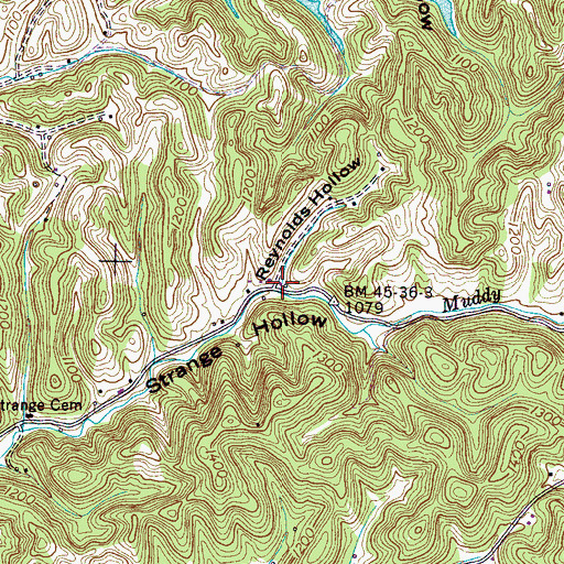 Topographic Map of Reynolds Hollow, TN