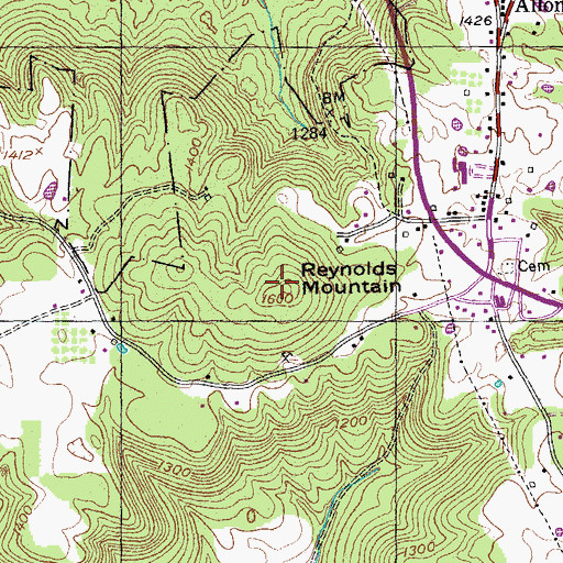 Topographic Map of Reynolds Mountain, TN