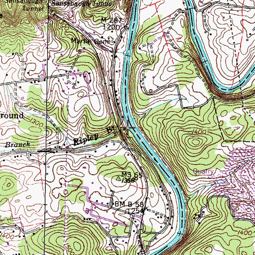 Topographic Map of Ripley Branch, TN