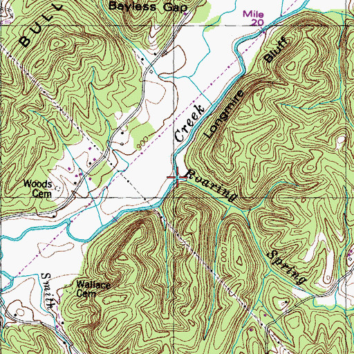 Topographic Map of Roaring Spring Branch, TN