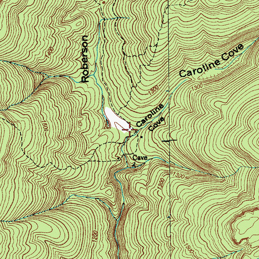 Topographic Map of Roberson Cove, TN