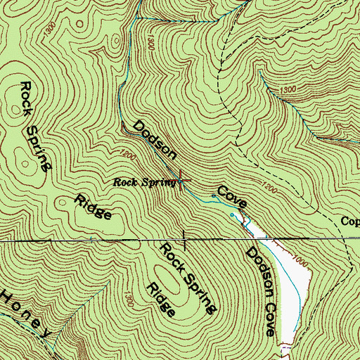 Topographic Map of Rock Spring, TN