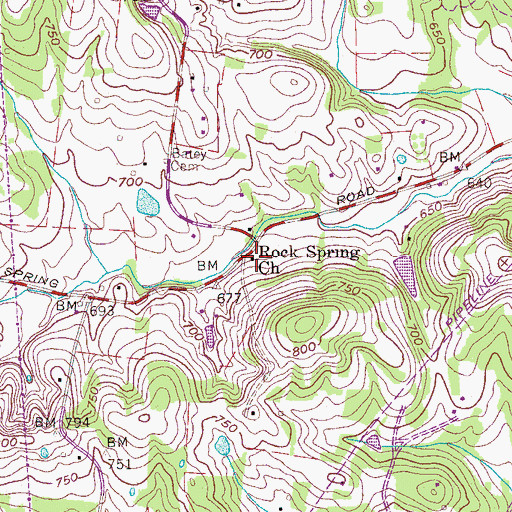 Topographic Map of Rock Spring Church, TN