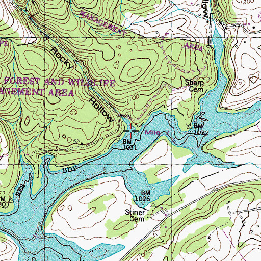 Topographic Map of Rocky Hollow, TN