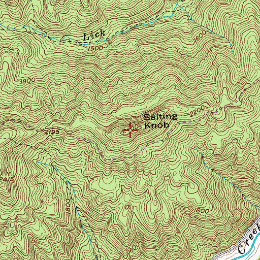 Topographic Map of Salting Knob, TN