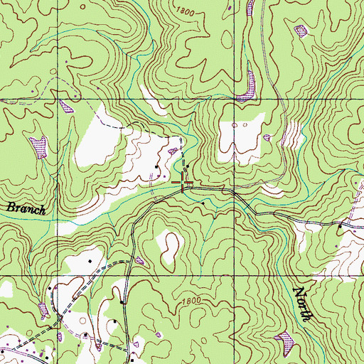 Topographic Map of Sanderson Branch, TN