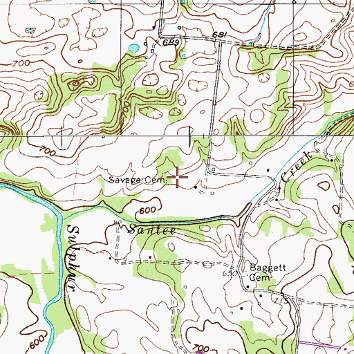 Topographic Map of Savage Cemetery, TN