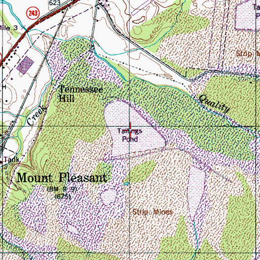 Topographic Map of Stauffer Globe Pond Number Twenty-one, TN