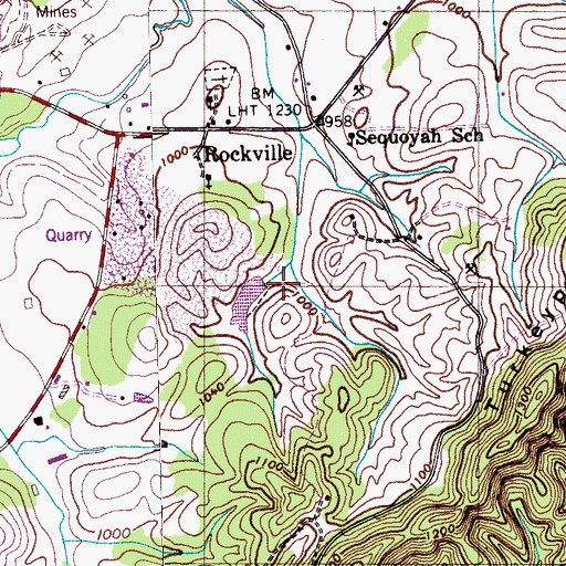 Topographic Map of Craighead Lake, TN