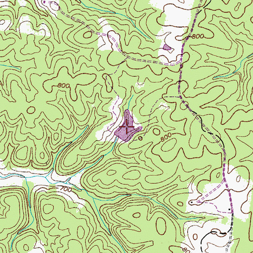 Topographic Map of Burch Lake, TN