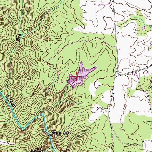 Topographic Map of Gene Rogers Dam, TN