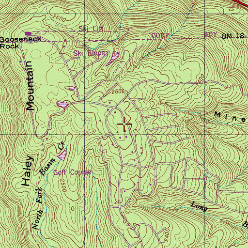 Topographic Map of Renegade, TN