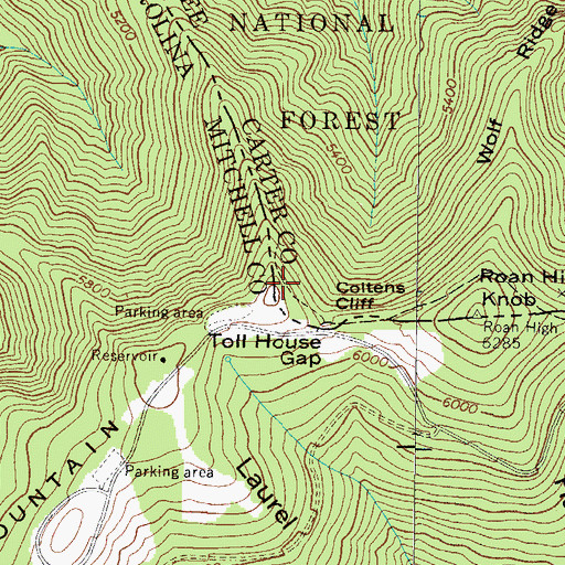 Topographic Map of Cloudland Mountain, TN