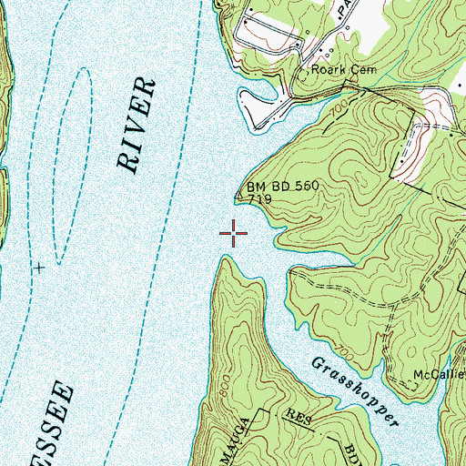 Topographic Map of Grasshopper Creek, TN
