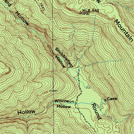 Topographic Map of Stubblefield Hollow, TN