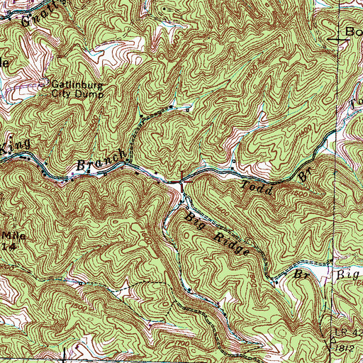 Topographic Map of Todd Branch, TN