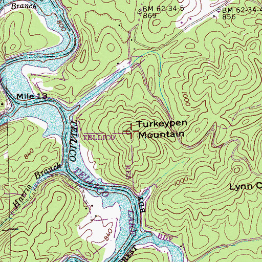 Topographic Map of Turkeypen Mountain, TN