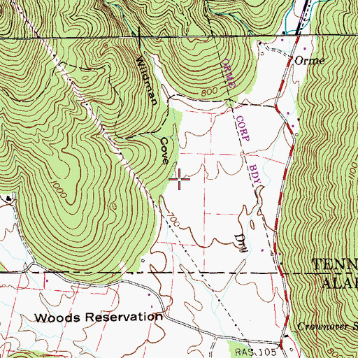 Topographic Map of Wildman Cove, TN