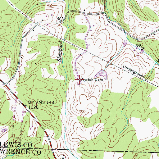 Topographic Map of Wyrick Cemetery, TN