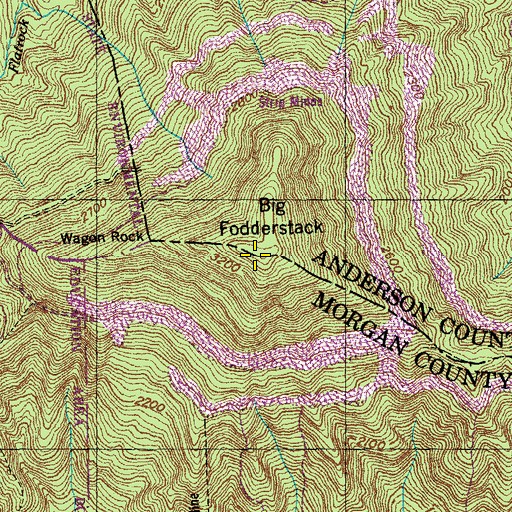 Topographic Map of Big Fodderstack, TN