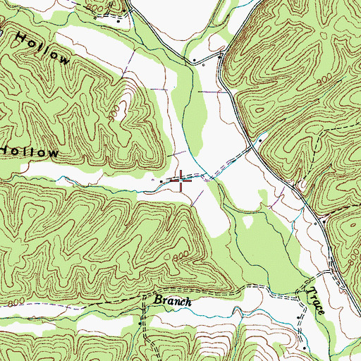 Topographic Map of Dill Hollow, TN