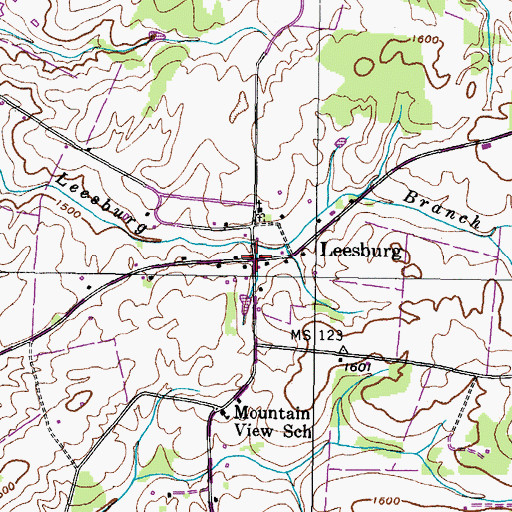 Topographic Map of Leesburg, TN