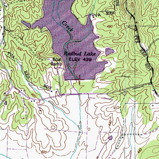Topographic Map of Redbud Dam, TN
