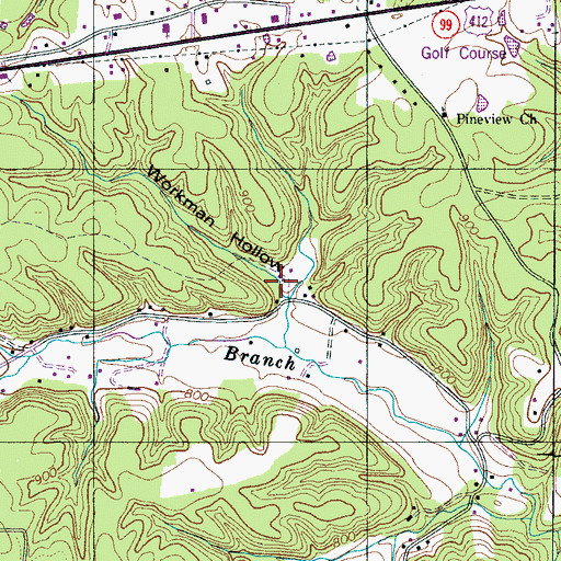 Topographic Map of Workman Hollow, TN