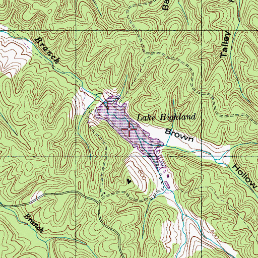 Topographic Map of Highland Lake, TN