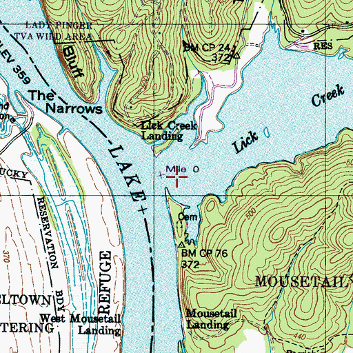 Topographic Map of Mousetail (historical), TN