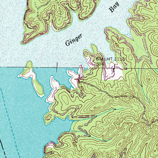 Topographic Map of Ginger Bay Lake Access Area, TN