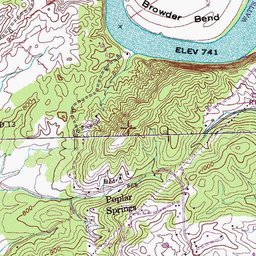 Topographic Map of Saltpeter Ridge, TN